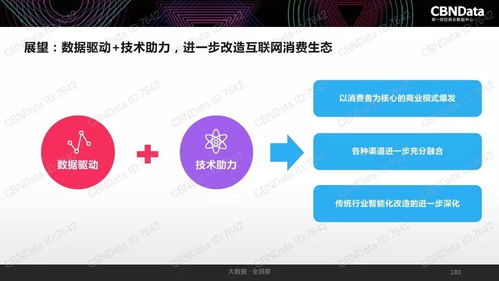 CBNDATA 2017中國互聯(lián)網(wǎng)消費(fèi)生態(tài)大數(shù)據(jù)報告解讀 數(shù)據(jù)驅(qū)動的消費(fèi)新紀(jì)元
